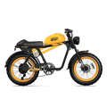 QIOLOR TIGER RE