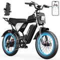 YVY C22