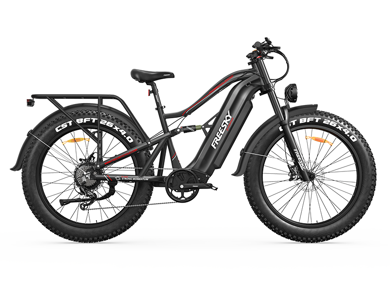 FREESKY Swift Horse Ultra X-6E, photo 8