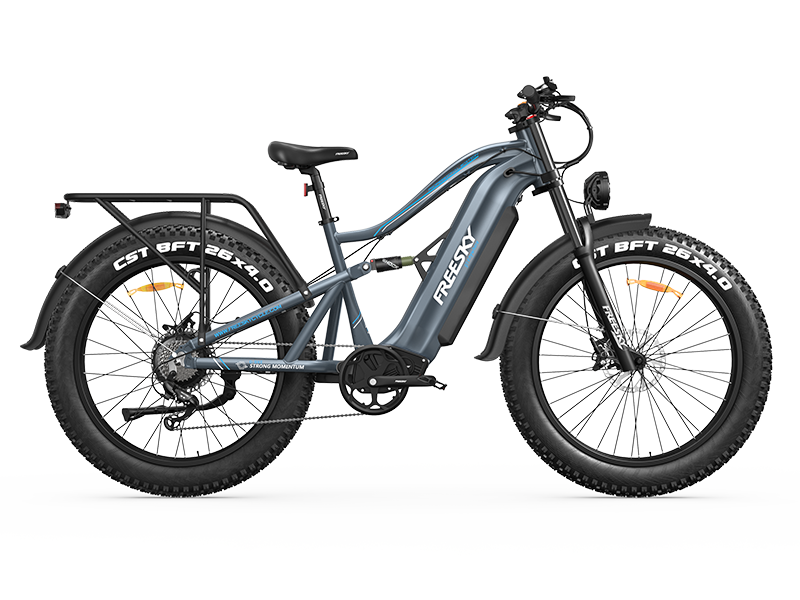 FREESKY Swift Horse Ultra X-6E, photo 2