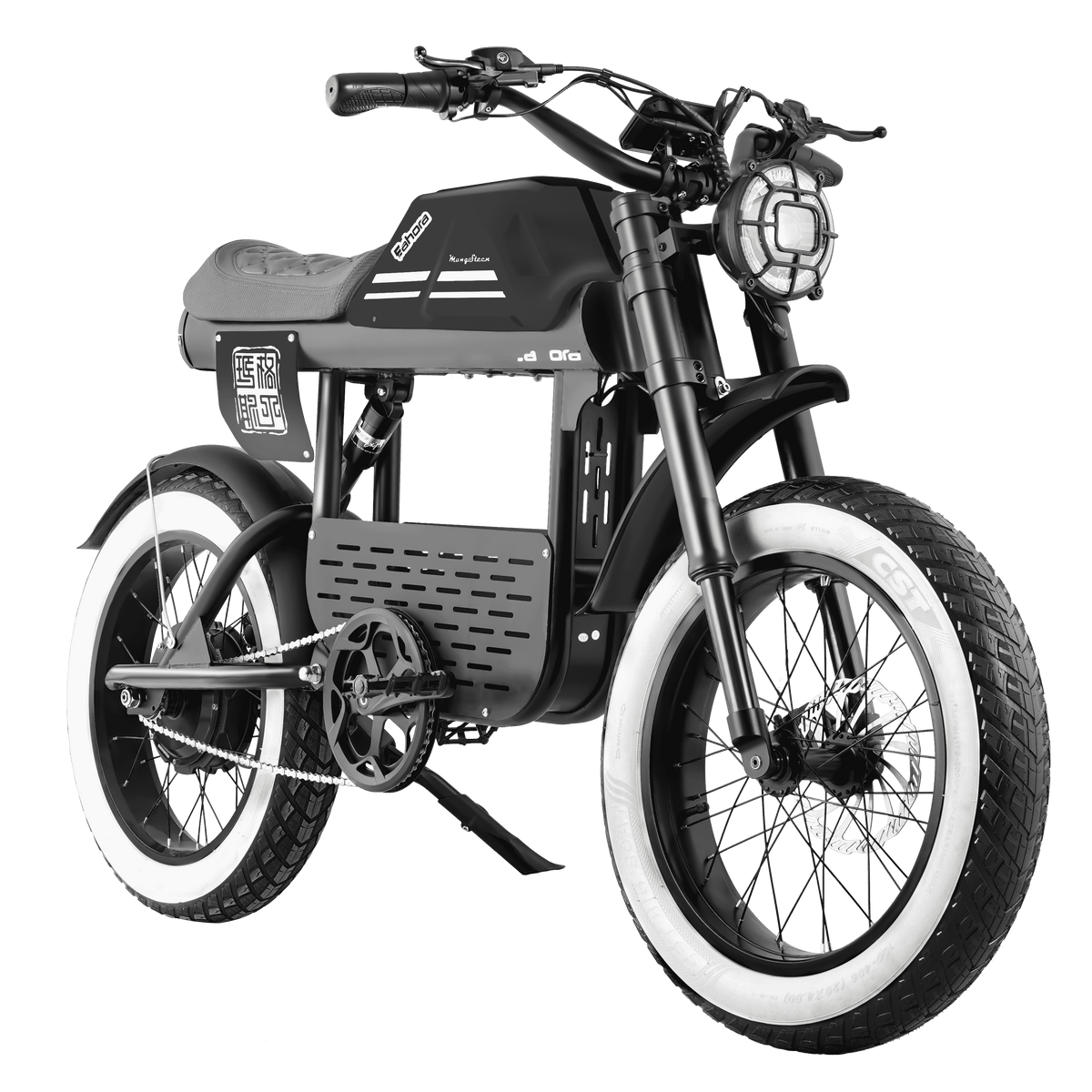Eahora FT-01 Max, photo 2
