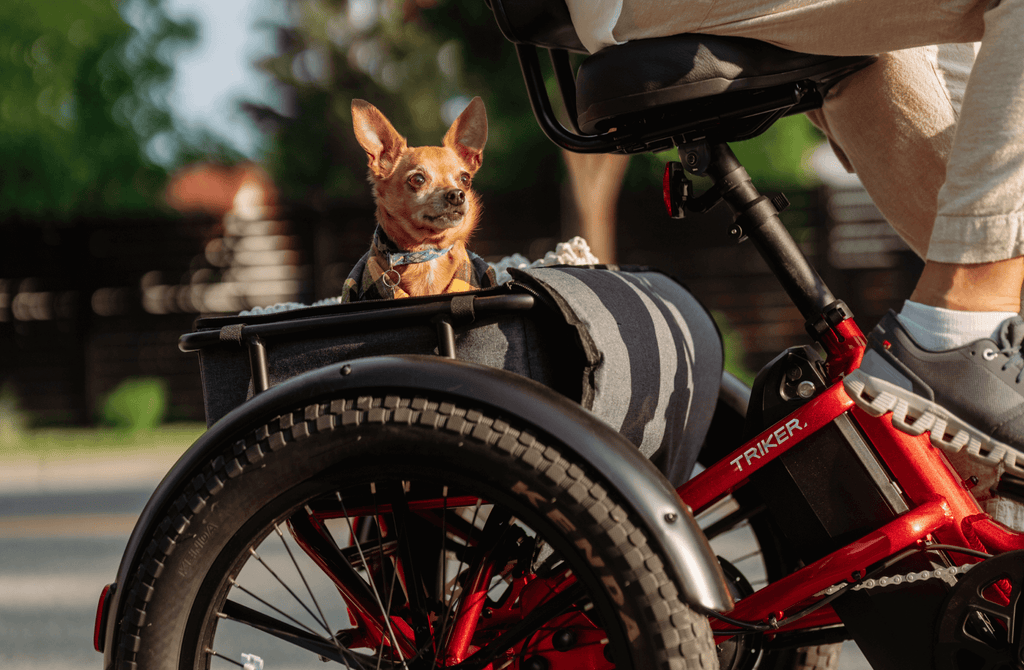 Velotric Triker, photo 7