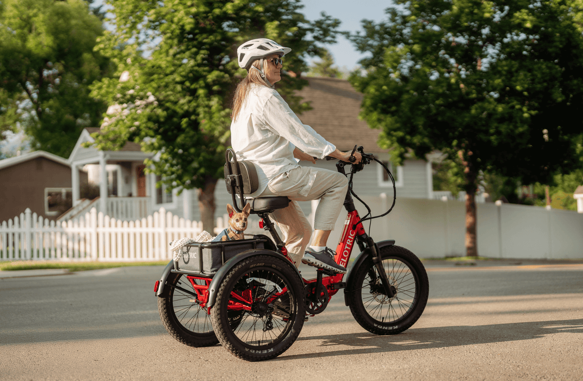 Velotric Triker, photo 5