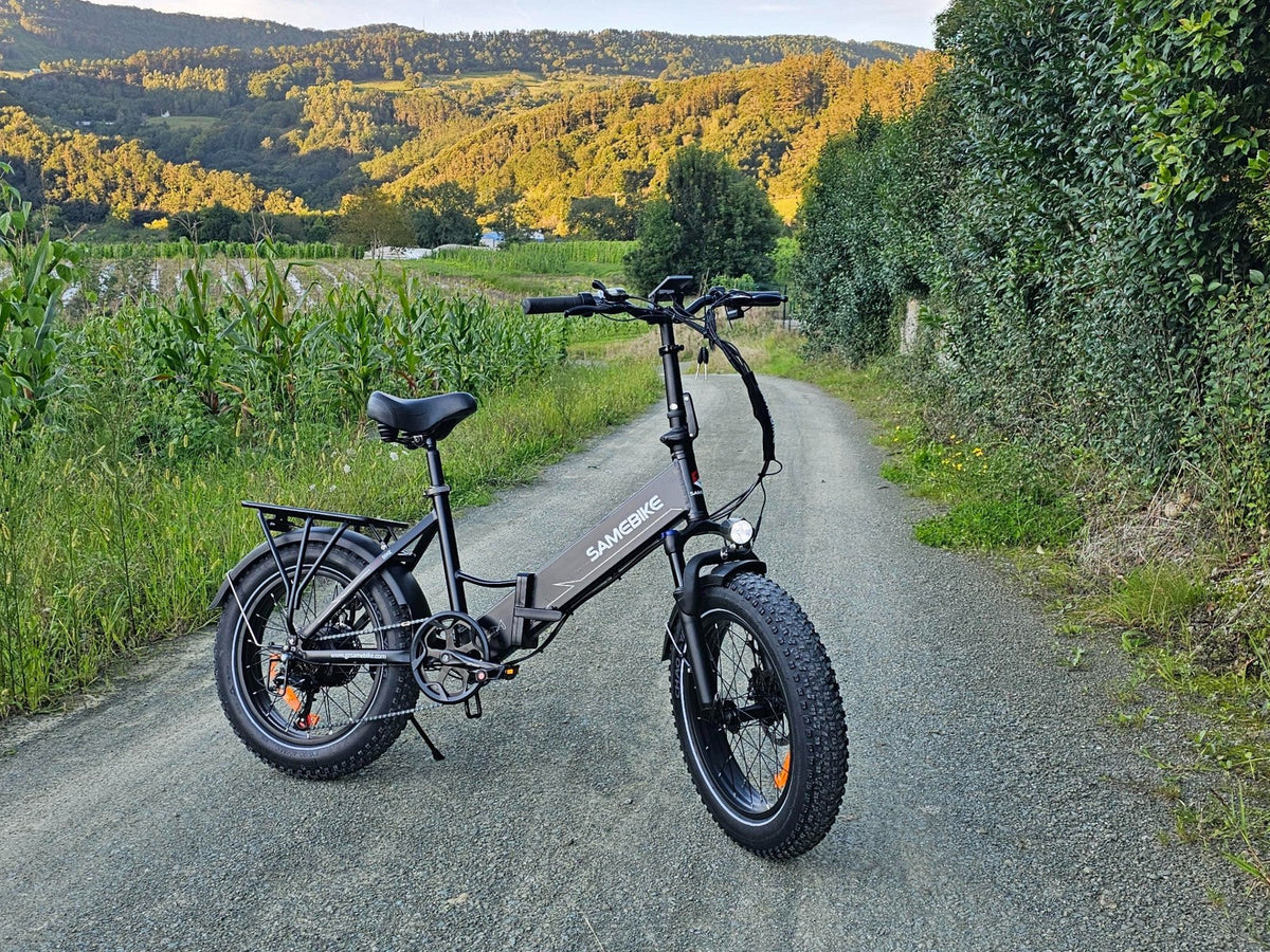 SAMEBIKE LOTDM200-II, photo 6