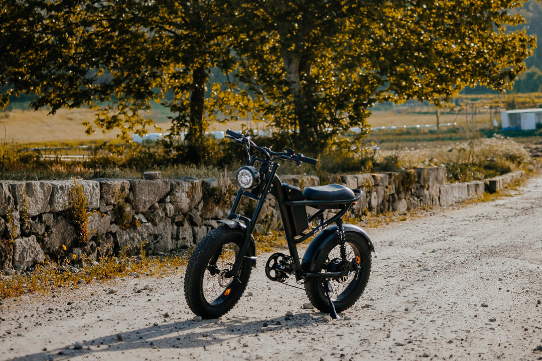 Riding'times Z8, photo 6