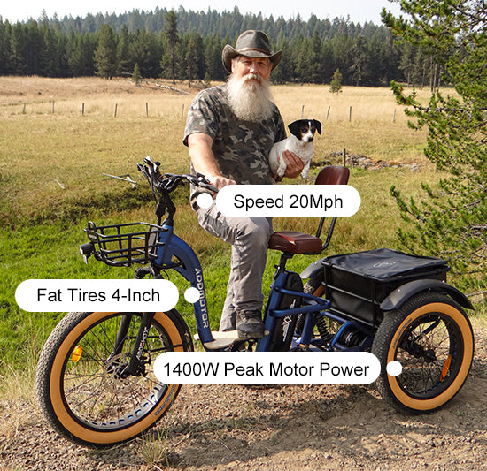 Addmotor Grandtan X, photo 6