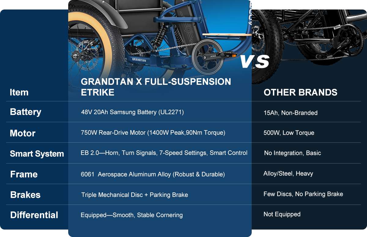 Addmotor Grandtan X, photo 4